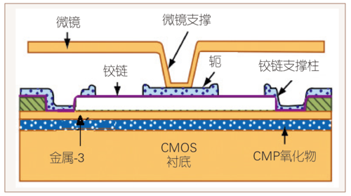 鲍海飞图4